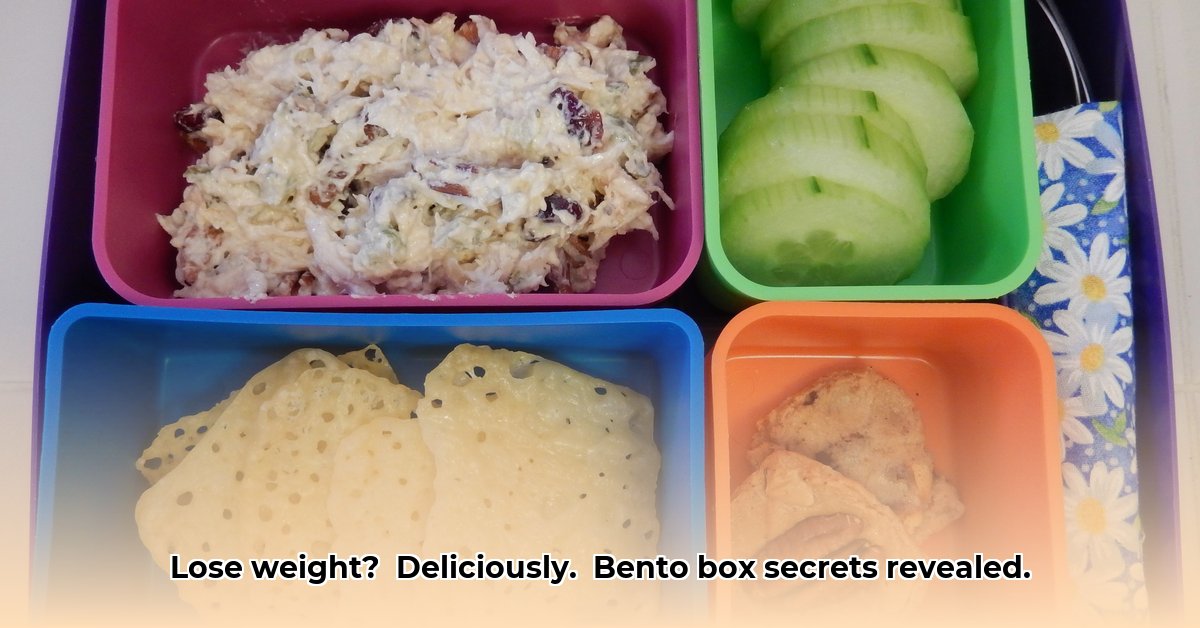 bento-weight-loss